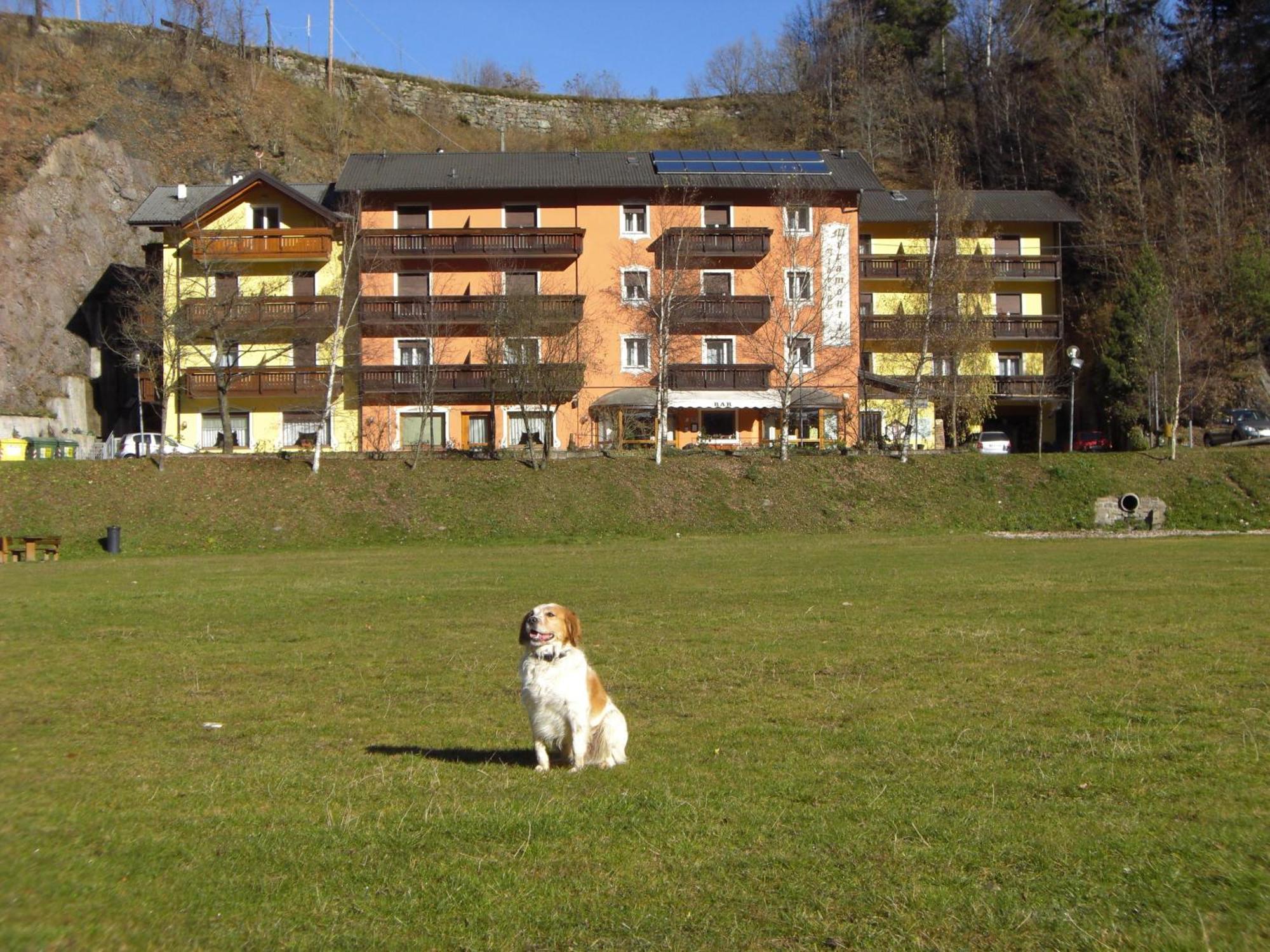 Hotel Miramonti Bedollo Dış mekan fotoğraf